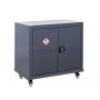 CoSHH Cupboards