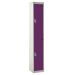 Spectrum Locker - 2 Compartment - Berry Burst Doors - H.1800 W.300 D.450