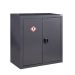 CoSHH Cupboard - 1 Shelf - H.900 W.900 D.460