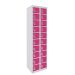  Dual USB Phone Charging Locker - H.1800 W.450 D.380mm - Solid Door - 20 Compartments - Pitahaya Pink